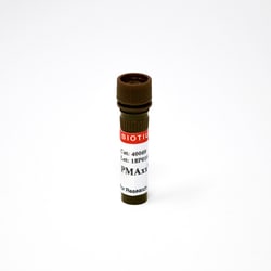 Biotium PMAxx , 20mM in H2O, Quantity: Each of 1