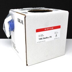 Biotium TBE Buffer, 5X, Quantity: Each of 1