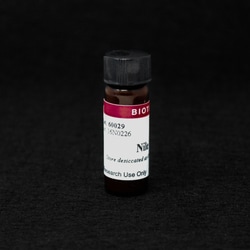 Biotium Nile Red, Quantity: Each of 1