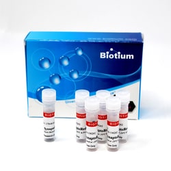 Biotium Synaptored C2 (also known as FM4-64), Quantity: Each of 1