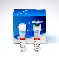 Biotium ViaFluor 405 Live Cell Microtubule Stain, Trial Size, Quantity: