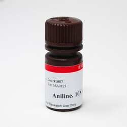 Biotium Aniline, 10X in acetate buffer, Quantity: Each of 1