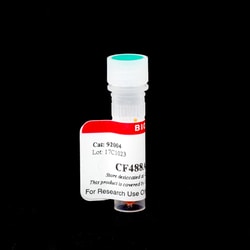 Biotium CF594 Biocytin, Quantity: Each of 1