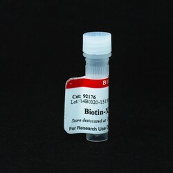 Biotium Biotin-XX Tyramide, Quantity: Each of 1