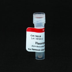 Biotium Fluorescein Tyramide, Quantity: Each of 1