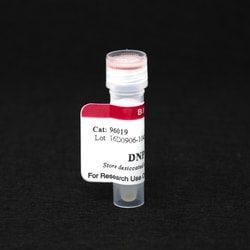 Biotium DNP Tyramide, Quantity: Each of 1