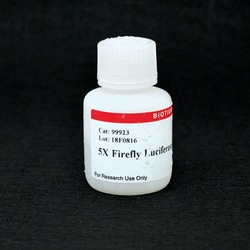 Biotium 5X Firefly Luciferase Lysis Buffer, Quantity: Each of 1