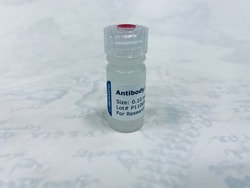 Biomatik Corporation Interleukin 17 Receptor C (Il17Rc) Polyclonal Antibody,