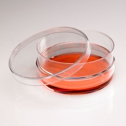 USA Scientific Inc CytoOne 100 x 20 mm TC dish, Quantity: Case of 300