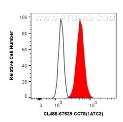 CCT8 Mouse, anti-Human, CoraLite Plus 488, Clone: 1A7C3, Proteintech:Antibodies:Primary