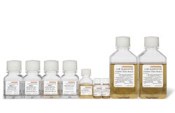 Cell Systems Corporation&nbsp;The System (CSS-A101) for Cell Cultures