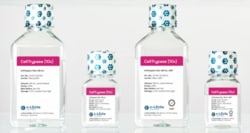 C LECTA GMBH&nbsp;CellTrypase,10x, 100mL, R&D