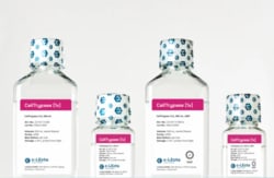 C LECTA GMBH&nbsp;CellTrypase, 1x, 100mL, R&D