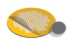 Electron Microscopy Sciences&nbsp;Carbon Support Film 5-6 nm thick on London Finder LF200 Gold Grid