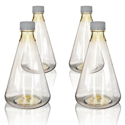 Eisco Labs Sterile Vented Polycarbonate Erlenmeyer Flasks with Flat Bottom 2000 mL | Buy Online | Eisco Labs | Fisher Scientific