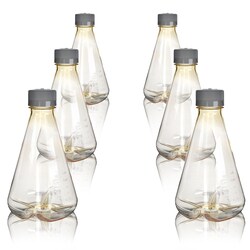 Eisco Labs Sterile Vented Polycarbonate Erlenmeyer Flasks with Baffled Bottom 1000 mL | Buy Online | Eisco Labs | Fisher Scientific