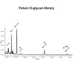 QA Bio Inc Fetuin O glycan library, Quantity: Pack of 1