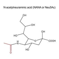 QA Bio Inc N-acetylneuraminic acid quantitative standard, Quantity: Pack