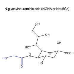 QA Bio Inc N-glycolyneuraminic acid quantitative standard, 100 nmol, Quantity: