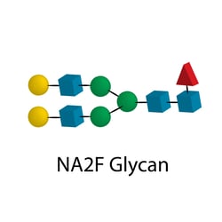 QA Bio Inc&nbsp;QA-Bio, Inc. • Ludger NA2F Glycan/G2F • 20 µgs