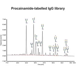 QA Bio Inc Ludger IgG N-Glycan Library, Procainamide labeled, Quantity: