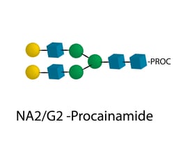 QA Bio Inc Ludger NA2 Glycan, Procainamide labeled, Quantity: Pack of 1