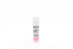 Cellular Engineering Technologies Cryopreserved vial of induced pluripotent