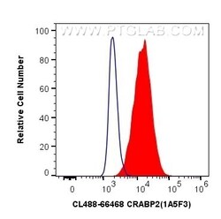 CRABP2 Mouse, anti-Human, CoraLite Plus 488, Clone: 1A5F3, Proteintech