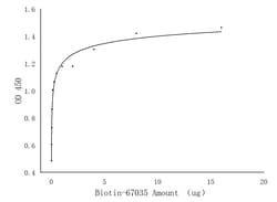 CRK Mouse, anti-Human, Biotin, Clone: 2B7E1, Proteintech Quantity: 100