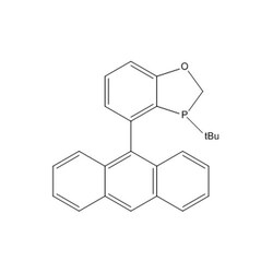 Chemscene ChemScene | rac-AntPhos | 250MG | CS-0020502 | 0.98 | 1268693-24-8|