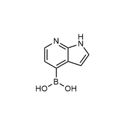 Chemscene ChemScene | B-1H-Pyrrolo[2,3-b]pyridin-4-ylboronic acid | 500MG
