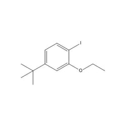 Chemscene ChemScene | 4-(tert-Butyl)-2-ethoxy-1-iodobenzene | 100MG | CS-0038646