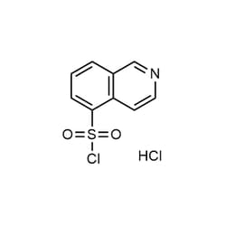 Chemscene ChemScene | Isoquinoline-5-sulfonyl chloride hydrochloride salt