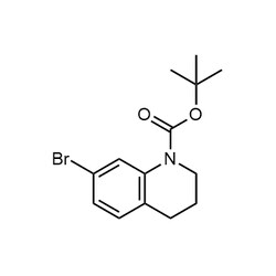 Chemscene ChemScene | tert-Butyl 7-bromo-3,4-dihydroquinoline-1(2H)-carboxylate