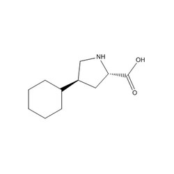 Chemscene ChemScene | (2S,4S)-4-Cyclohexylpyrrolidine-2-carboxylic acid