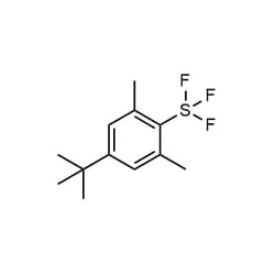 Chemscene 4-tert-Butyl-2 6-dimethylphenylsulfur trifluoride 100g, Quantity: