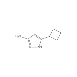 Chemscene ChemScene | 3-Amino-5-cyclobutyl-1H-pyrazole | 1G | CS-0047678
