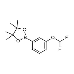 Chemscene ChemScene | 2-[3-(Difluoromethoxy)phenyl]-4,4,5,5-tetramethyl-1,3,2-dioxaborolane