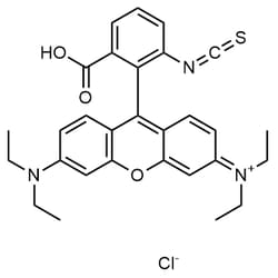 Chemscene&nbsp;Rhodamine B isothiocyanate 250mg