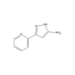 Chemscene ChemScene | 3-(Pyridin-2-yl)-1H-pyrazol-5-amine | 1G | CS-0070349