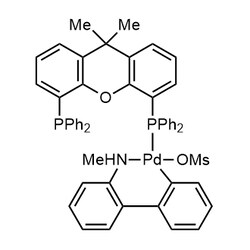 Chemscene ChemScene | XantPhos Pd G4 | 250MG | CS-0080720 | 0.98 | 1621274-19-8|