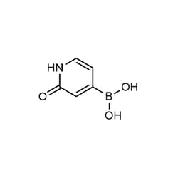 Chemscene ChemScene | (2-Oxo-1,2-dihydropyridin-4-yl)boronic acid | 250MG