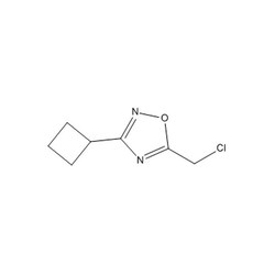 Chemscene ChemScene | 5-(Chloromethyl)-3-cyclobutyl-1,2,4-oxadiazole |