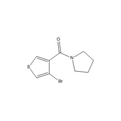 Chemscene ChemScene | (4-Bromothiophen-3-yl)(pyrrolidin-1-yl)methanone