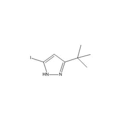 Chemscene ChemScene | 5-(tert-Butyl)-3-iodo-1H-pyrazole | 250MG | CS-0100211