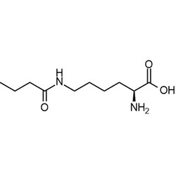 Chemscene ChemScene | N6-Butyryl-L-lysine | 250MG | CS-0100615 | 0.97 | 75396-30-4| MFCD29076248 |  216.28