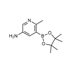 Chemscene ChemScene | 6-Methyl-5-(4,4,5,5-tetramethyl-1,3,2-dioxaborolan-2-yl)pyridin-3-amine