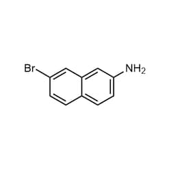Chemscene ChemScene | 7-Bromonaphthalen-2-amine | 250MG | CS-0108579 |