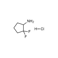 Chemscene ChemScene | 2,2-Difluorocyclopentan-1-amine hydrochloride | 250MG