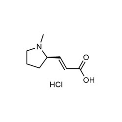 Chemscene ChemScene | (R,E)-3-(1-Methylpyrrolidin-2-yl)acrylic acid hydrochloride
